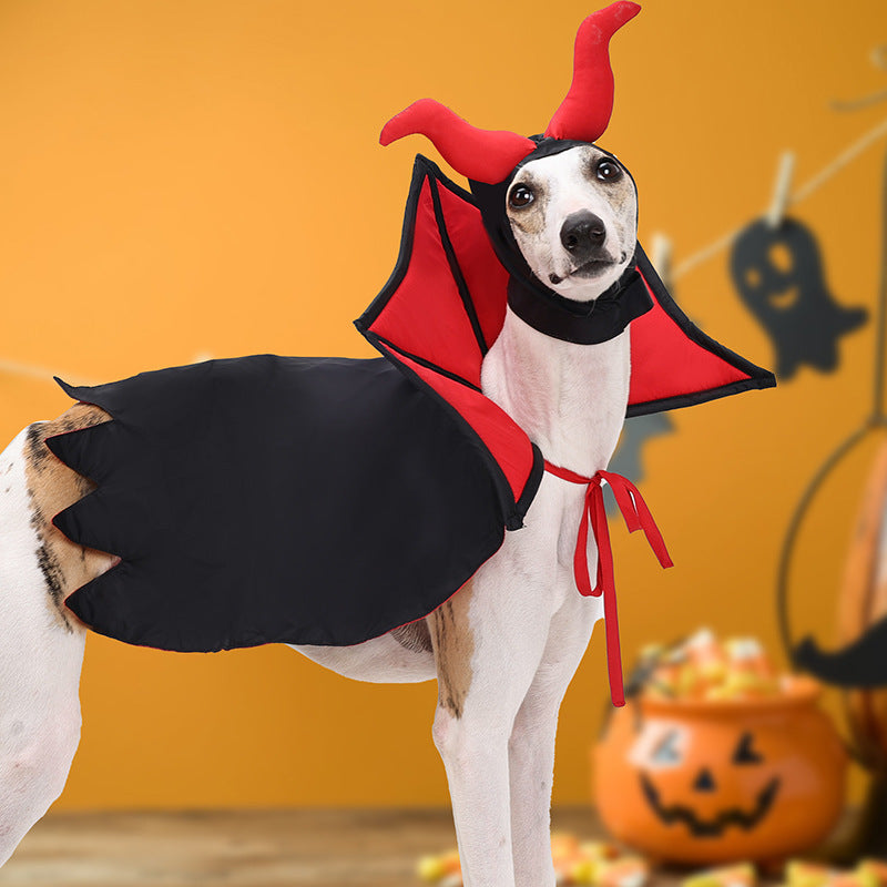 Halloween Pet Vampire Cloak Hat Holiday Suit